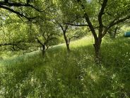 ingatlan/4853_6_184x138xffffffxcrop.jpg